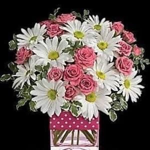 Meet your Posher, Susan